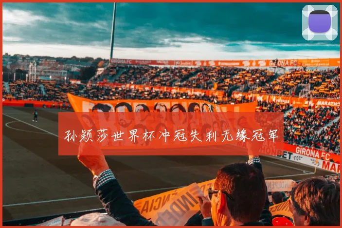 孙颖莎世界杯冲冠失利无缘冠军