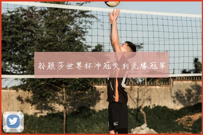孙颖莎世界杯冲冠失利无缘冠军