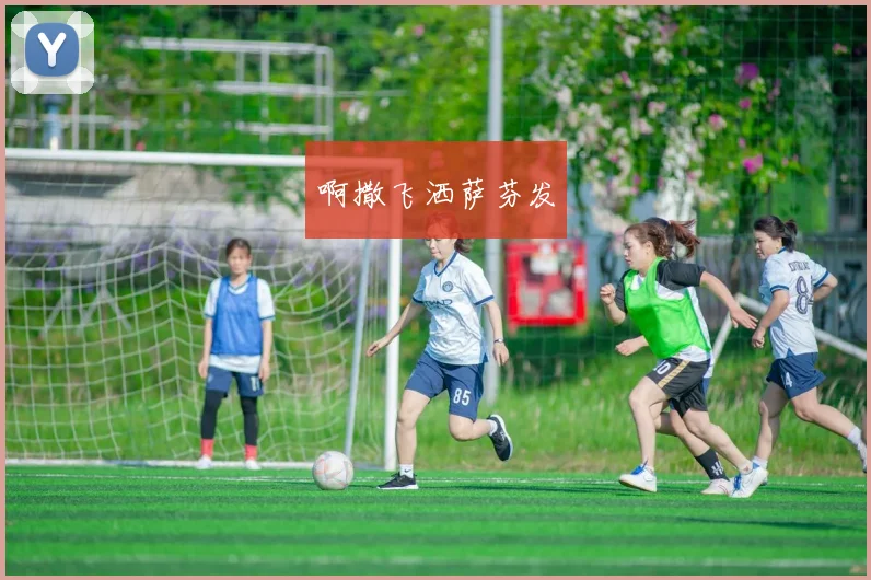 世界杯官方全记录梳理历届赛事关键节点与冠军归属变化