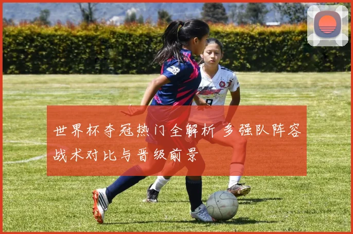 世界杯夺冠热门全解析 多强队阵容战术对比与晋级前景