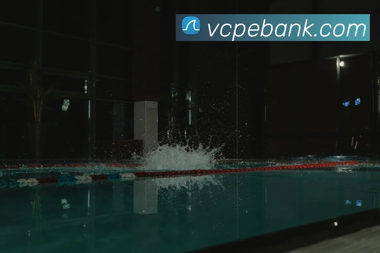 国际pg平台生态图